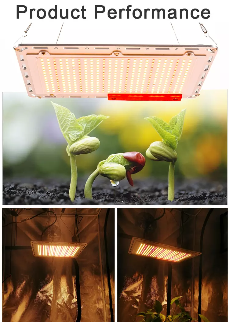 led plant lighting