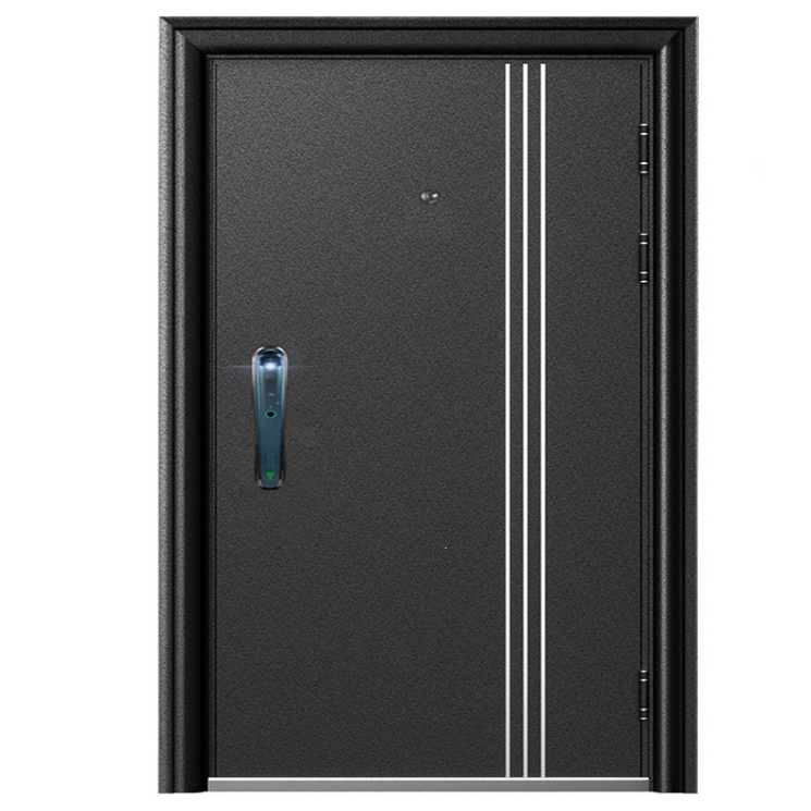 security door1