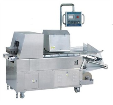 Vegetable Pillow Type Packing Machine (RZ)