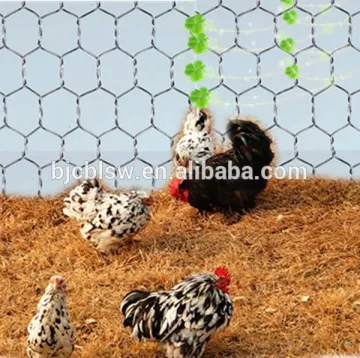 High quality hexagonal wire mesh for chicken wire mesh philippines