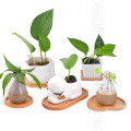 WITUSE home Ceramic micro garden Wedding mini Flowerpots square juicy plants vase flower pots trays container small bonsai pot