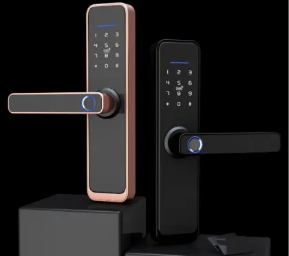 Smart WiFi Door Lock with Fingerprint & Password Access
