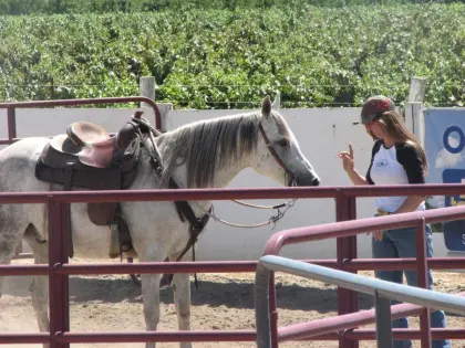 Customized horse sheep goat fence panel