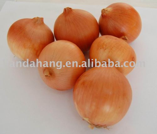 Chinese Yellow Onion