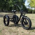 S2 Fat Tire Ηλεκτρικό τρίκυκλο
