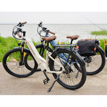 Customized Mountain Mid Drive Ebike