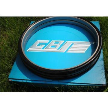 Action motor floating oil seal