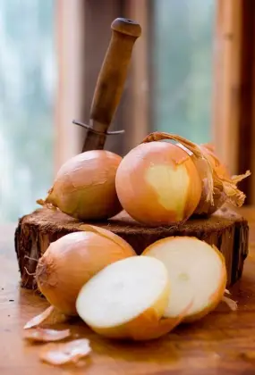 Round Fresh Yellow Onions Fresh Cheap Onion