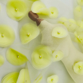 Élégant tissu brodé de dentelle à fleurs 3D