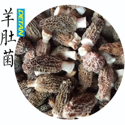 Dried morels Wild Hot Sell New Season