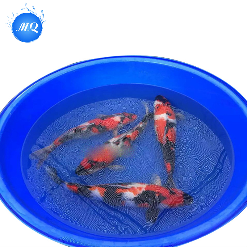 Mangkuk ikan plastik berkualitas tinggi untuk koi