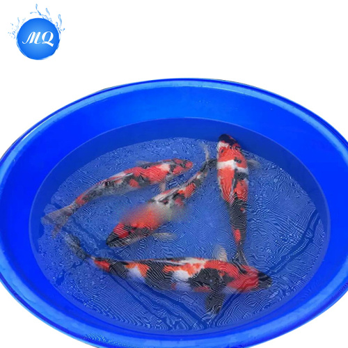 Mangkuk ikan plastik berkualitas tinggi untuk koi