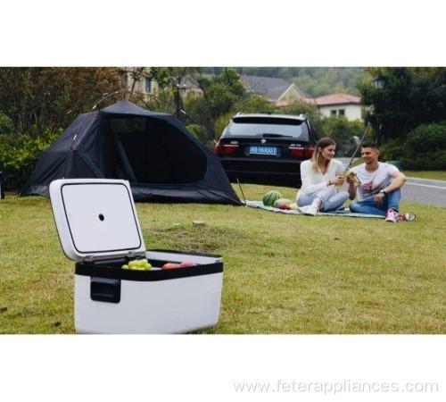 Compact 12V 24V DC Fridge with Compressor for Home and Car