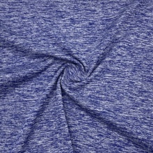 Sportswear Pure Polyester Cd Jersey Cloth