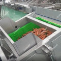 Hydraulic Bin Tipper for vegetable processing line