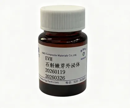 Dendrobium Exosome EVH Scalp Repair