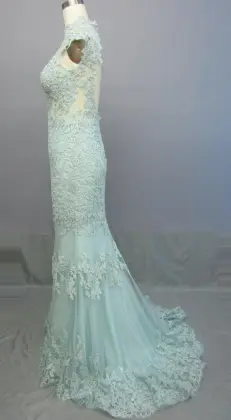 Sleeveless Formal Pleated Evening Dress