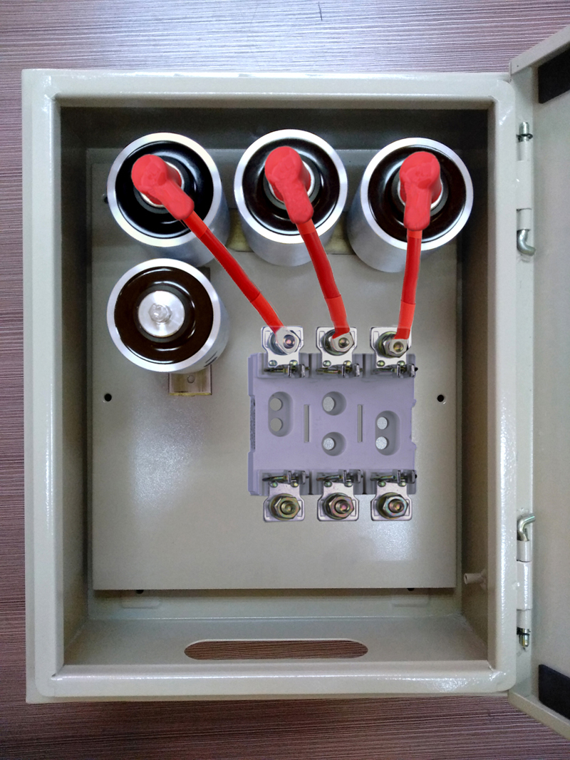 Surge Protection Assemble Device (2)