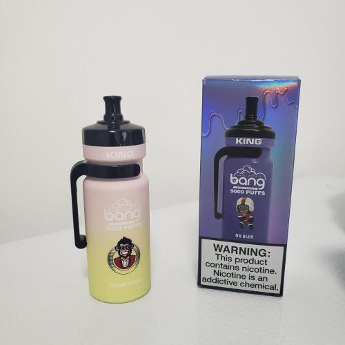 Suède Disposable Vape Bar Bang King 9000 Puffs