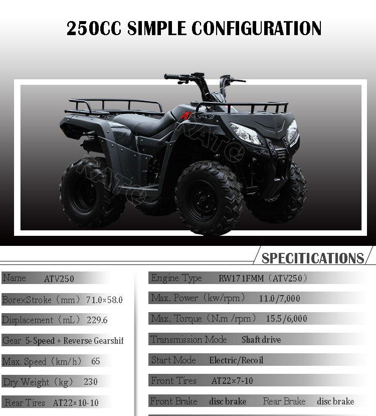 250cc_01