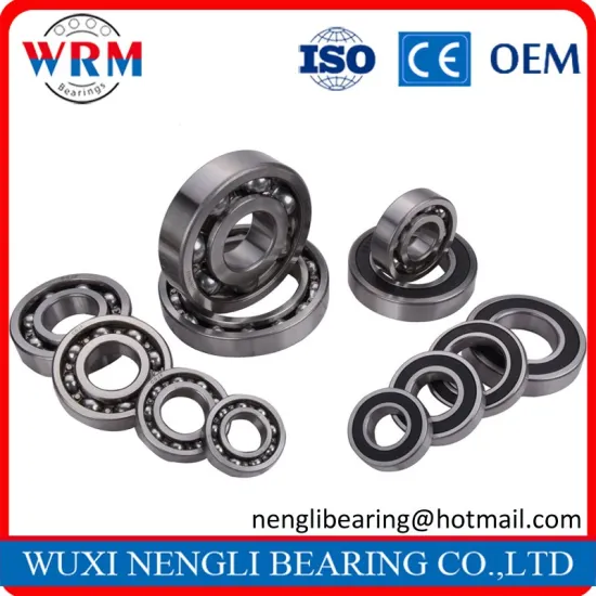 Anti-corrosion 6315 ZZ 2RS Open Stainless Steel Bearing