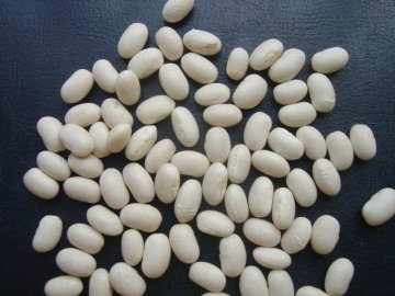 white beans