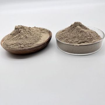 효과적인 정제를위한 수처리 바이오 박테리아