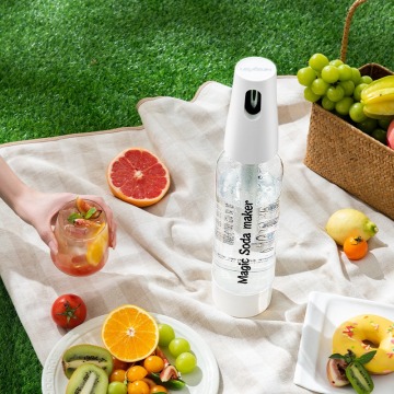Fancy Portable CO2 Water Dispenser Soda Maker Machine - Home DIY Party