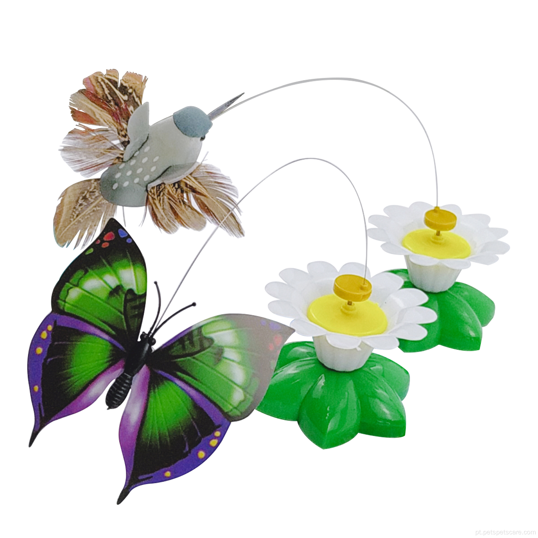 Borboleta e beys de gato elétricos de borboleta e beija -flor