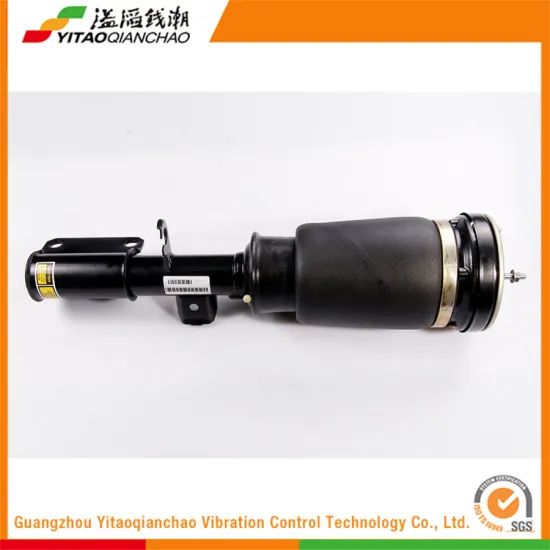 Automobile Parts For Trucks And Trailers Best Semi Shock Absorber