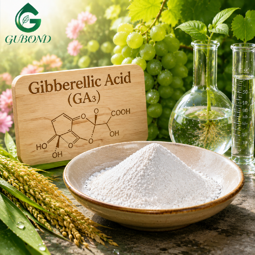 Ingrediente promotor del crecimiento vegetal del ácido giberélico GA3