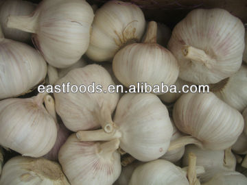 Natural garlic 5cm