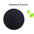 Buy online raw materials Seaweed Extract powder