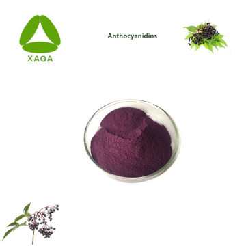 Freeze Dried Elderberry Black Elderberry Extract Powder