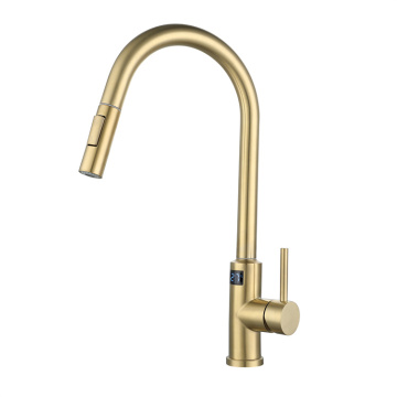 Stainless Steel Pull Out Kitchen Sink Faucet with Pull Down Sprayer