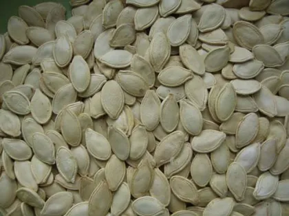 snowwhite pumpkin seeds