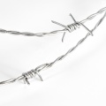 BWG16 500m Galvanized Barbed Wire Alambre De Puas