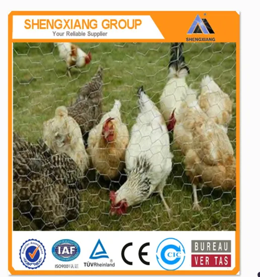 Anping Chicken Coop Hexagonal Mesh/Hexagonal Mesh