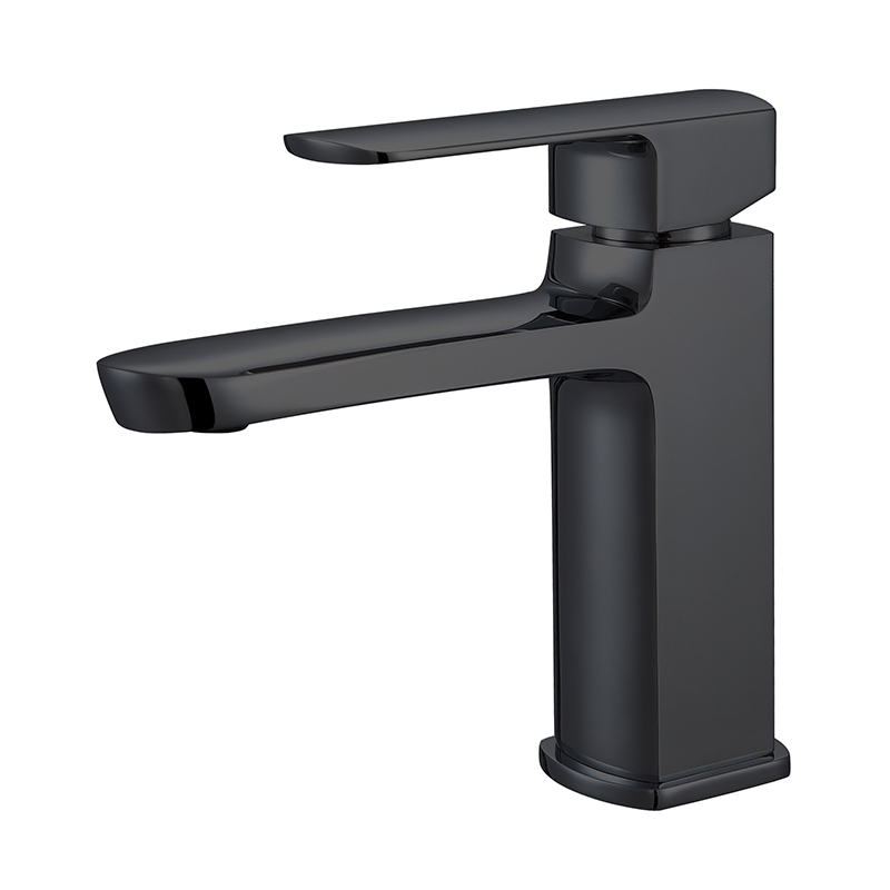 Single Handle Single Cold Stainless Steel Lead Kitchen Faucet Black