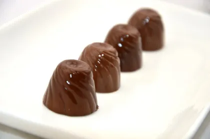 snack food/wholesale snack food/dark chocolate