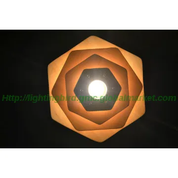 modern wooden pendant lamp/curious lighting things