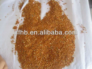 Red Broom Corn Millet