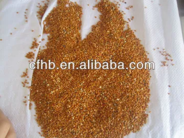 Red Broom Corn Millet