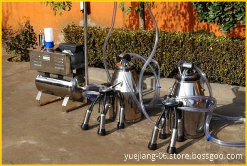 Pipeline Milking Machine for Cows, Goats, Sheep, Cattle, Camels, and Donkeys