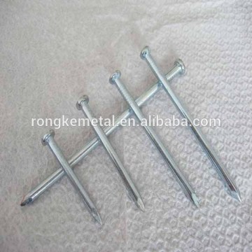 polished & galvanized common nail/wire nails/steel nails