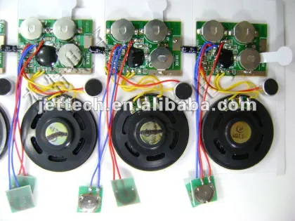 Electronic Voice chip