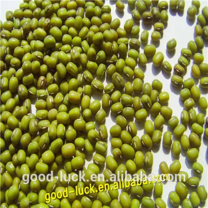 green mung beans for food grade