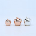 /msite/products/detail/productid/56618255/id/529285.html