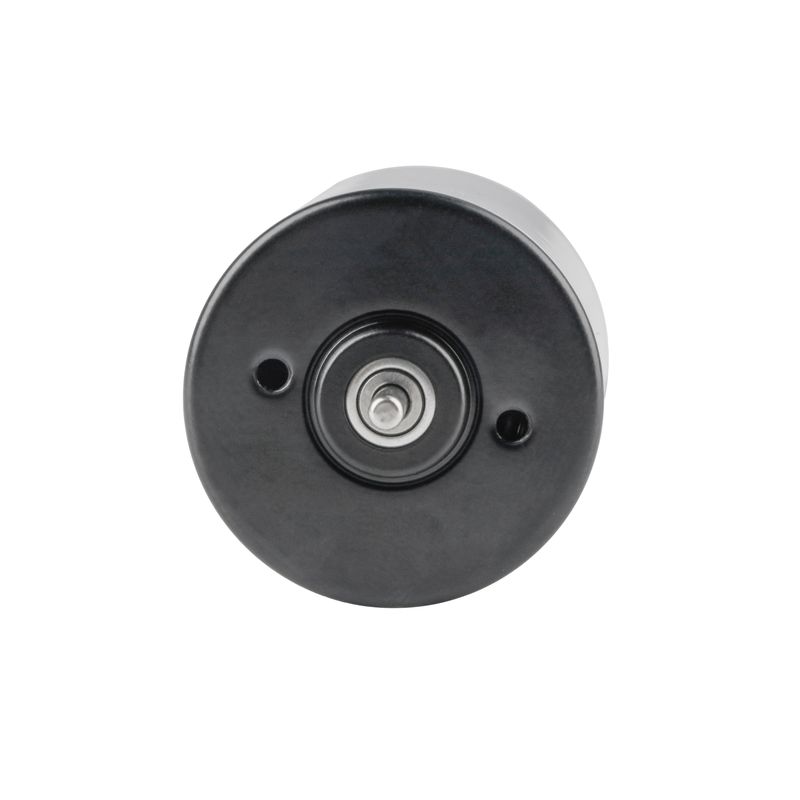 brushless dc motor