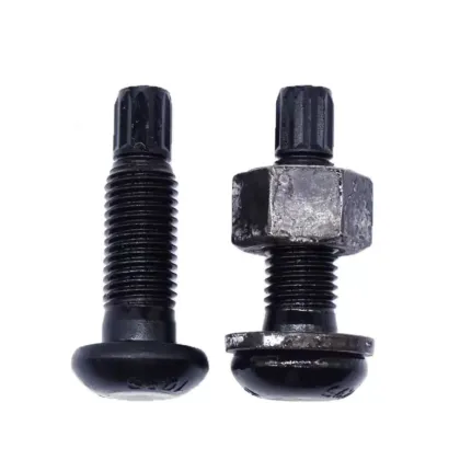 GB3632 Grade 10.9 Circular Torsion Shear Bolts, Hexagonal High-Strength Screws and Twist Shear Type Bolts